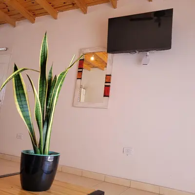 a potted plant sitting on a table in front of a mirror at Casa Nuup in Río Tercero