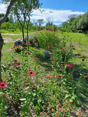 a garden with red flowers in a field at Vayu- en La Casa de Nanda in San Javier