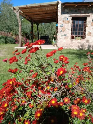 a bunch of red flowers in front of a building at Vayu- en La Casa de Nanda in San Javier