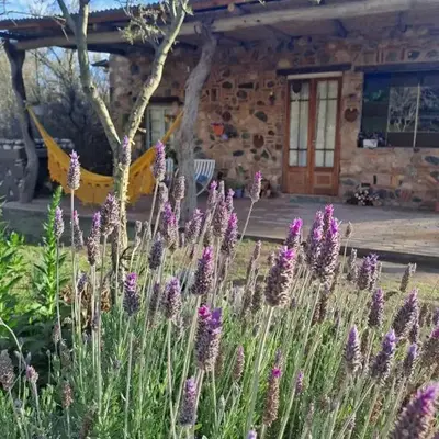 Vayu- en La Casa de Nanda