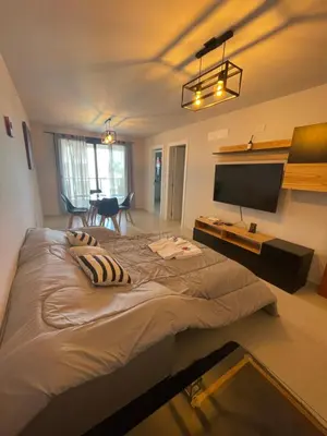 a bedroom with a large bed and a tv at Guesthouse Park in Cordoba