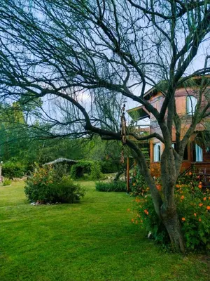 a tree in a yard next to a house at Del Sol a la Montaña EcoLodge - Turismo Consciente in Potrero de Garay