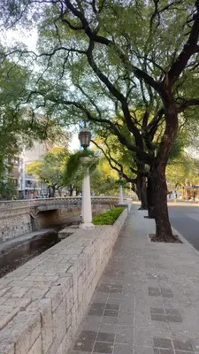 a sidewalk with trees and a street with a street light at Tu lugar en Nueva Córdoba!A 50 mtros del Sanatorio Acongagua in Cordoba