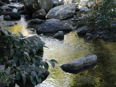 Gallery image of La Trinidad in San Javier