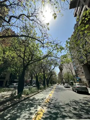 an empty street with trees and cars parked on it at Departamento premium, la mejor zona de Nueva Córdoba in Cordoba