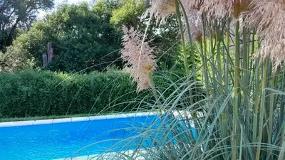a swimming pool with some tall grass next to it at Chalet El Buho in Villa General Belgrano