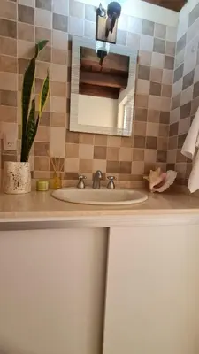 a bathroom sink with a mirror and a plant at Casa del Lago in Potrero de Garay