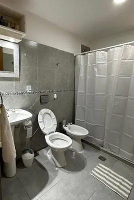 a bathroom with a toilet and a sink and a shower at CONFORTABLE Dpto. Pasaje Tucumán in Alta Gracia