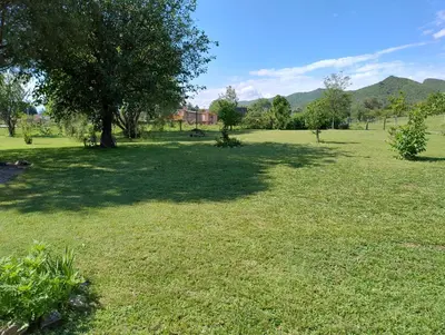 a large field of grass with a tree in it at Cabaña Corcovado in El Parador