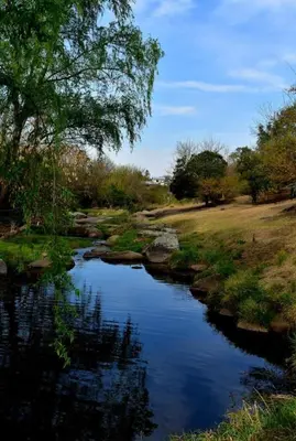 a river with a tree and a grass field at Amanecer serrano in Tanti