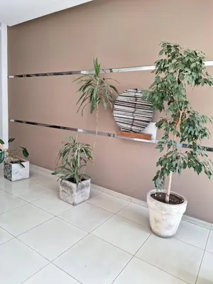 three potted plants sitting on a tiled floor at Departamento Cofico in Cordoba