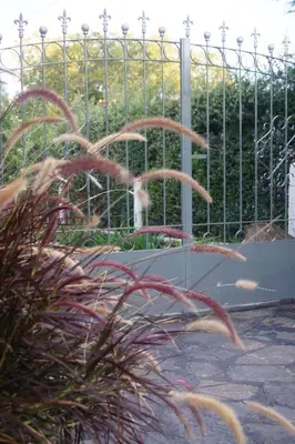 a metal fence with a cat in a garden at Lorelei in Mina Clavero