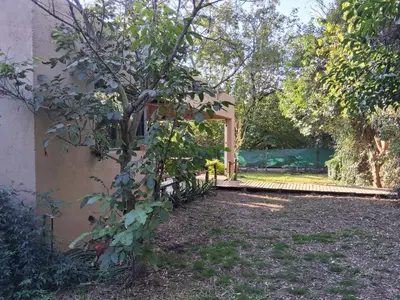 a garden with a tree and a building at La Llilda in La Bolsa