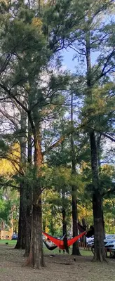 a hammock between two trees in a park at Refugio Amaicha in Embalse