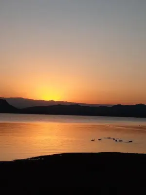 a group of ducks in the water at sunset at Refugio Amaicha in Embalse