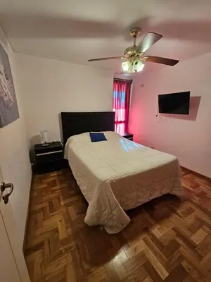 a bedroom with a bed and a ceiling fan at Amplio Depto en Pleno Centro! in Cordoba