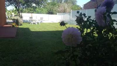 a yard with purple flowers in the grass at Cabañas Luna del Sur in Merlo