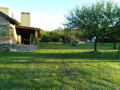 a tree in a field next to a house at La Serranita in Santa Rosa de Calamuchita
