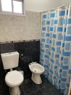 a bathroom with a toilet and a shower curtain at Cabañas Emilia in Mina Clavero