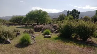 a garden with plants and rocks in a field at Cabaña romántica en la sierra in Yacanto