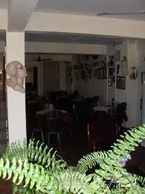 a view of a room with a plant in the foreground at Hotel Verde Sol in Villa Carlos Paz