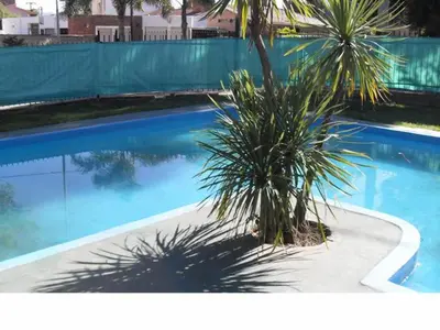 a palm tree sitting next to a swimming pool at Hotel Verde Sol in Villa Carlos Paz