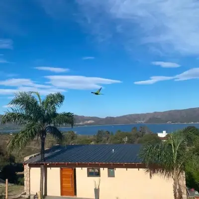 EL PALMAR