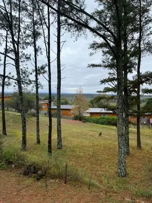 a field with trees and a building in the background at CASA EN SANTA ROSA DE CALAMUCHITA in Santa Rosa de Calamuchita