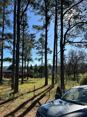 a car parked next to a field with trees at CASA EN SANTA ROSA DE CALAMUCHITA in Santa Rosa de Calamuchita
