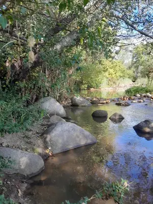 a river with rocks and trees on the side at Complejo Las Sierras in Nono