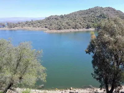 a view of a lake with trees and a mountain at AYRES DE MONTAÑA in San Ignacio