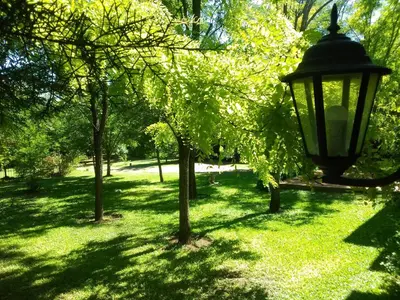 a street light in a park with trees at Portal del Río Posada in Santa Rosa de Calamuchita