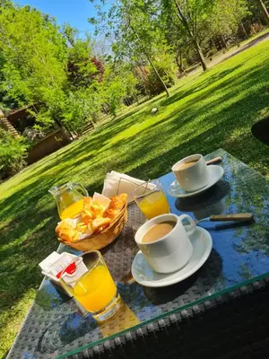 a picnic table with two cups of coffee and bread at Portal del Río Posada in Santa Rosa de Calamuchita