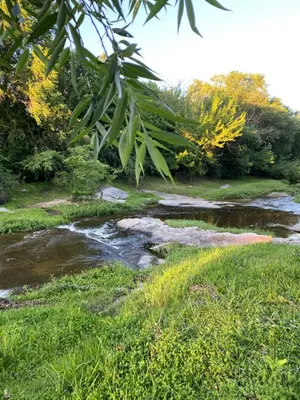 a creek with rocks in the grass and trees at TANTI casa con pileta in Cordoba