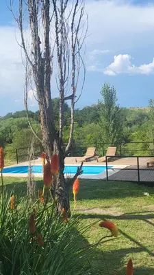 a tree in the grass next to a swimming pool at Cabaña Troncos en Los Reartes in Villa General Belgrano