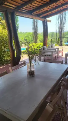 a wooden table with a potted plant sitting on it at Cabaña Troncos en Los Reartes in Villa General Belgrano