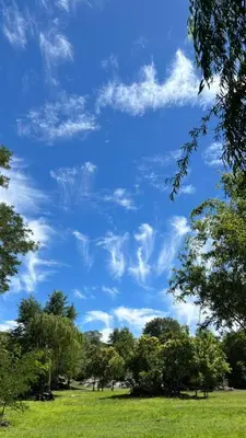 a field with trees and a blue sky with clouds at Cabaña Concepcion del Valle in Salsacate