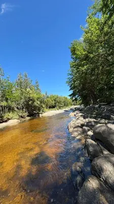 a river with rocks and trees on the shore at Cabaña Concepcion del Valle in Salsacate