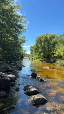 a river with rocks and trees on the side at Cabaña Concepcion del Valle in Salsacate