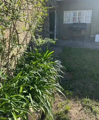 a plant in the yard next to a house at lahabanadepartamento in Villa Carlos Paz