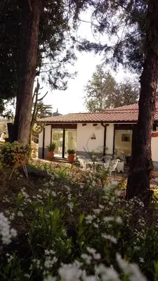 a house with two chairs and trees in a yard at Ribera Sur Hotel - Los Algarrobos - Tanti in Tanti