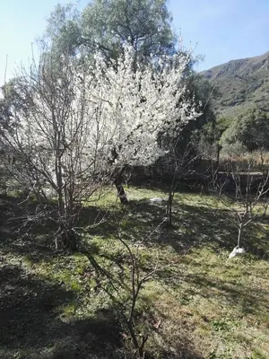 Gallery image of Hosteria Magdalena in Cortaderas