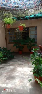 a patio with potted plants in a building at Hospedaje LA LUCIA in Almafuerte