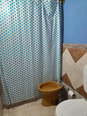 a bathroom with a toilet and a shower curtain at Depto Santo Brochero centro in Villa Cura Brochero
