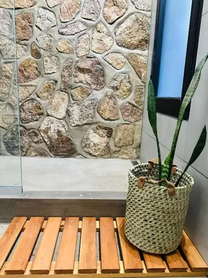 a potted plant sitting on a bench in front of a stone wall at Casa Simona in Las Rabonas