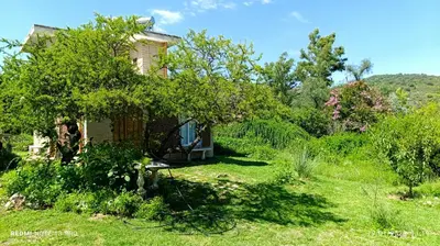 an old house in the middle of a yard at Casa de adobe Cuesta blanca in Cordoba
