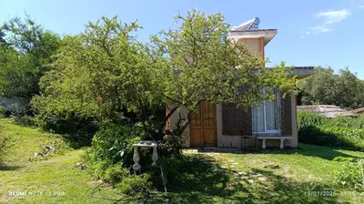 an apple tree in front of a house at Casa de adobe Cuesta blanca in Cordoba