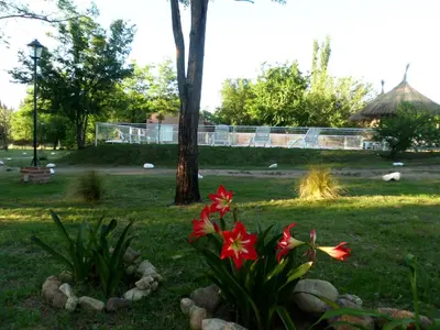 a garden with red flowers in the grass at Alma Serrana Apart Cabañas - Solo Adultos in Nono