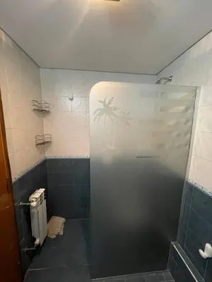 a bathroom with a shower with a palm tree sticker on the door at VENECIA céntrico con balcón in Villa Carlos Paz