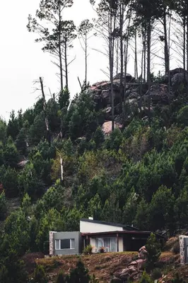 a house on the side of a hill with trees at Ayllupelli in Villa Berna